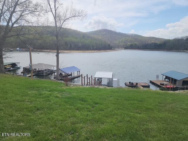 431 Powell Valley Marine Road La Follette, TN 37766 - Photo 4 of 35 431 Powell Valley Marine Rd (67)