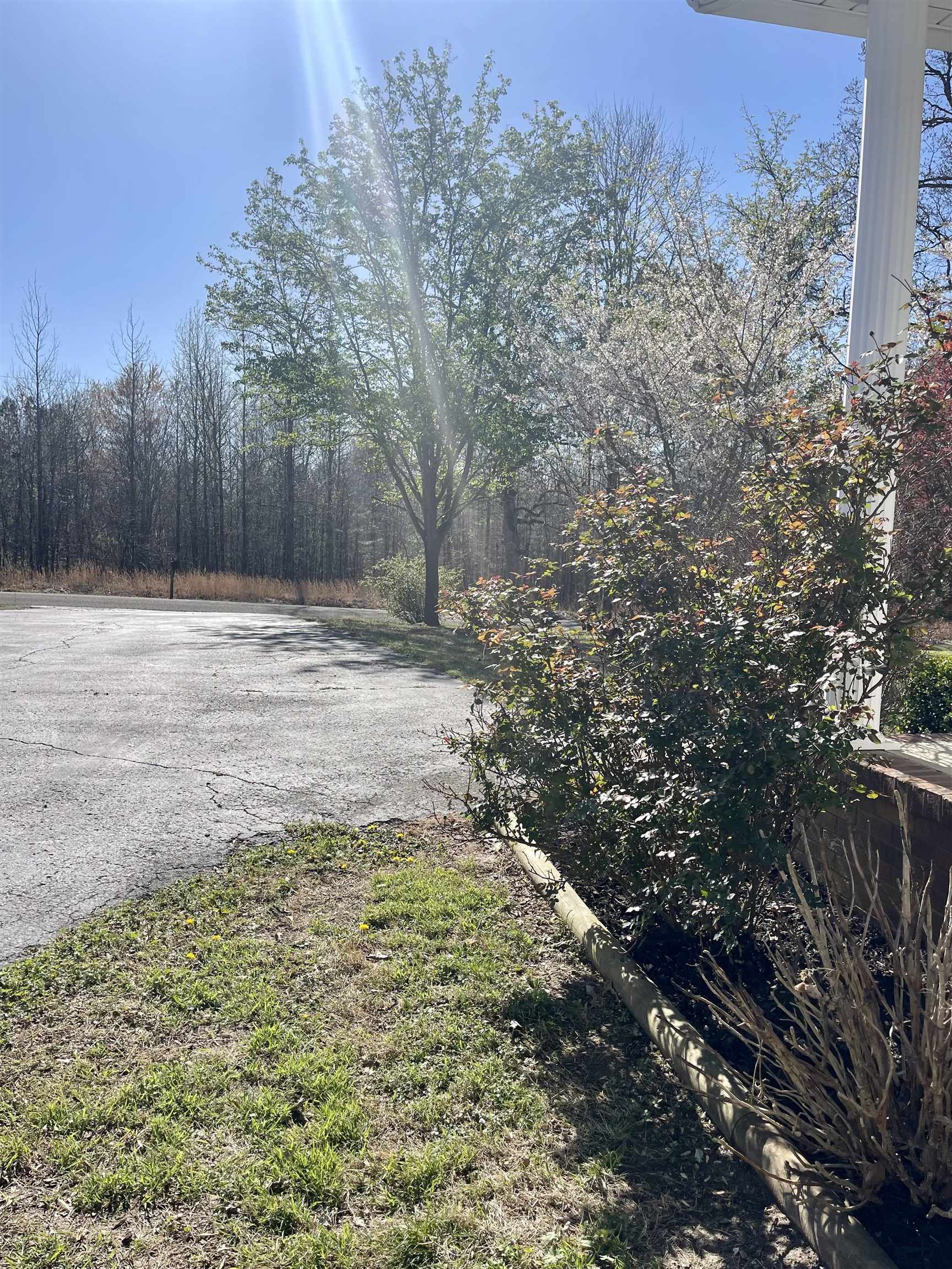 305 New Hope Road Ramer, TN 38367 - Photo 5 of 25 a view of a yard with trees