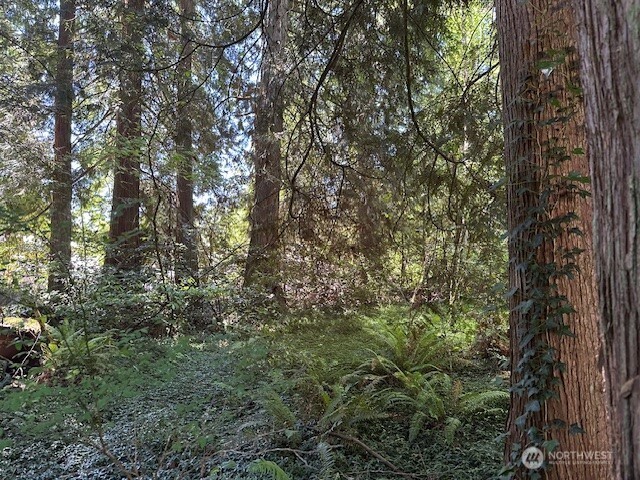 13705 West Lake Kathleen Drive Southeast Renton, WA 98059 - Photo 3 of 5