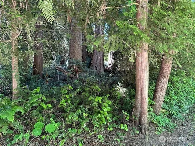 $595,000 | 13705 West Lake Kathleen Drive Southeast, Renton, WA 98059