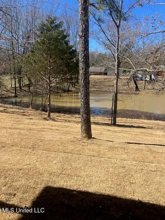 $434,900 | 1721 Baisley Drive, Nesbit, MS 38651