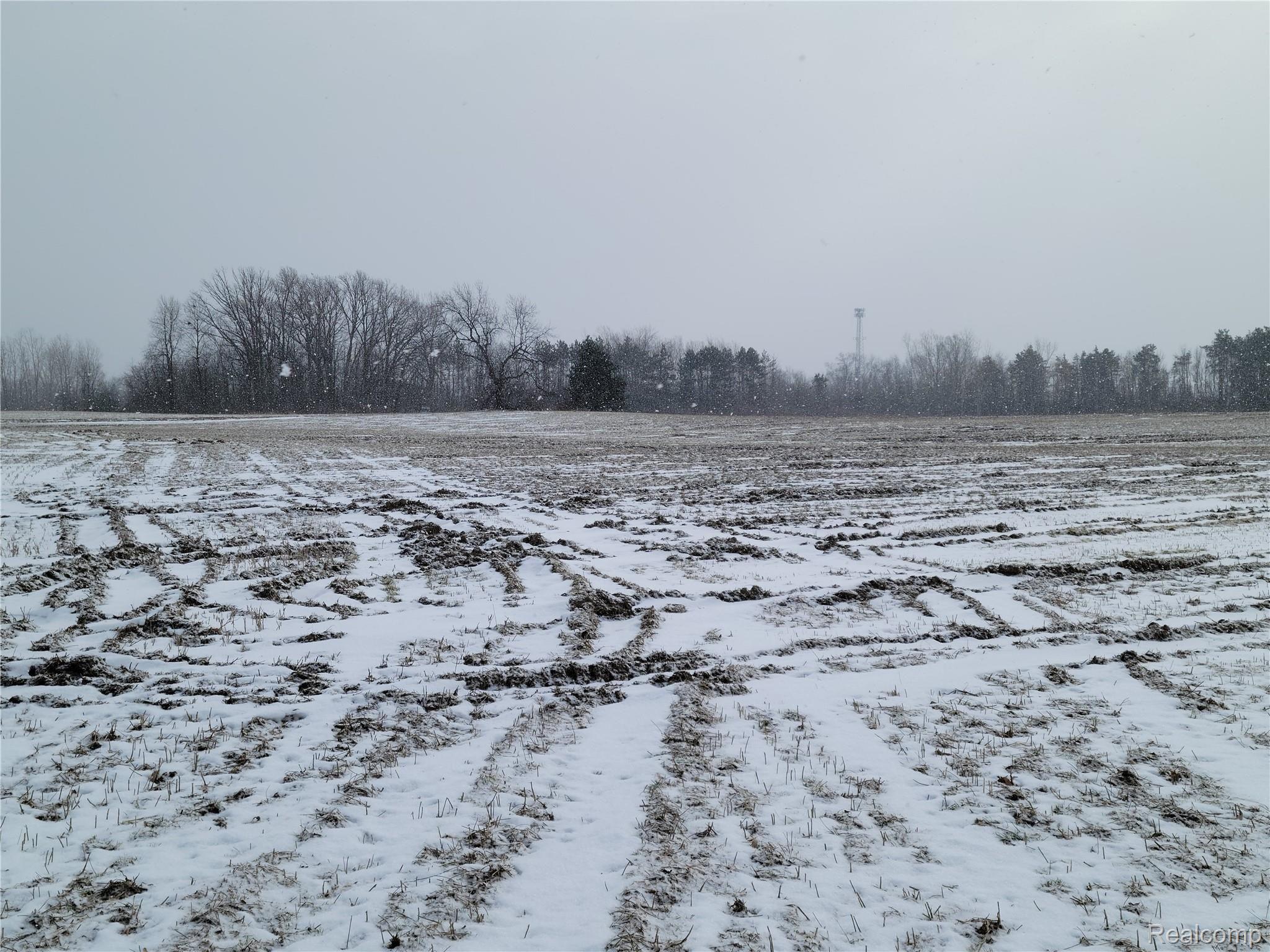 3231 West Ray Road Fenton, MI 48430 - Photo 12 of 35 Farmland