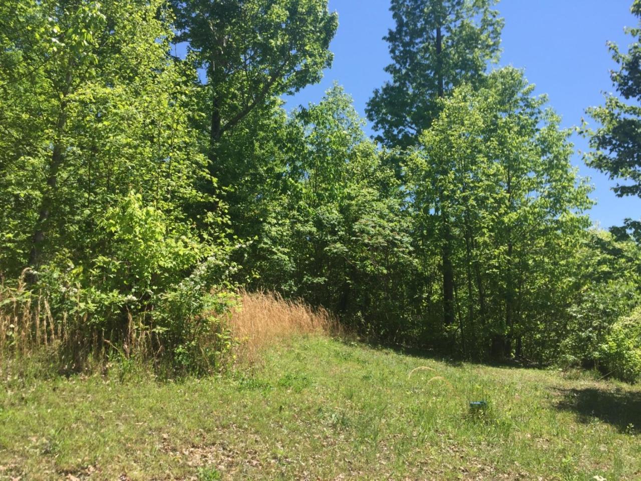 1215 Wheeler Road Harrogate, TN 37752 - Photo 10 of 24 Additional Photo
