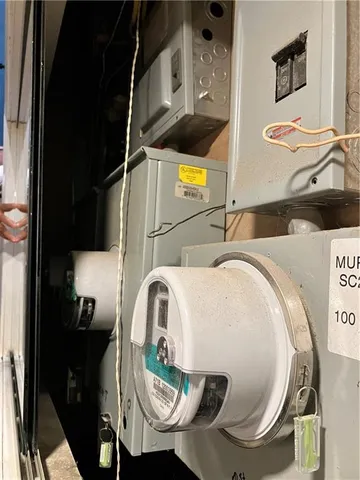 a close up of a tree