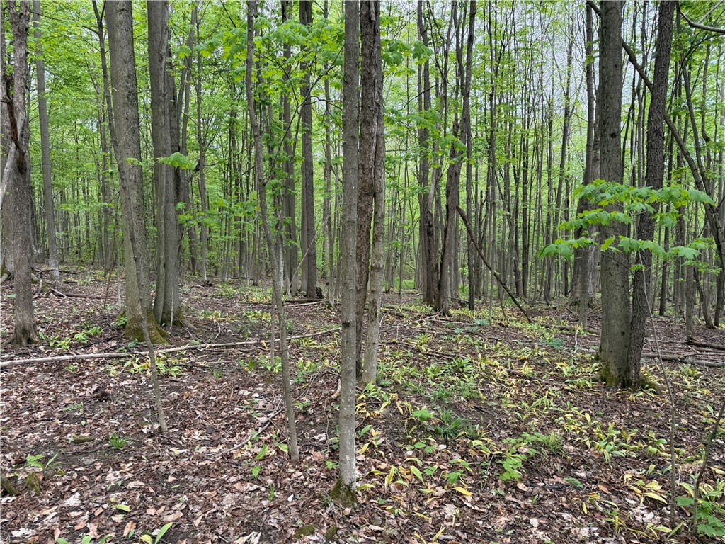 Vl Vl Lyndon Abbott Road Franklinville, NY 14737 - Photo 33 of 50