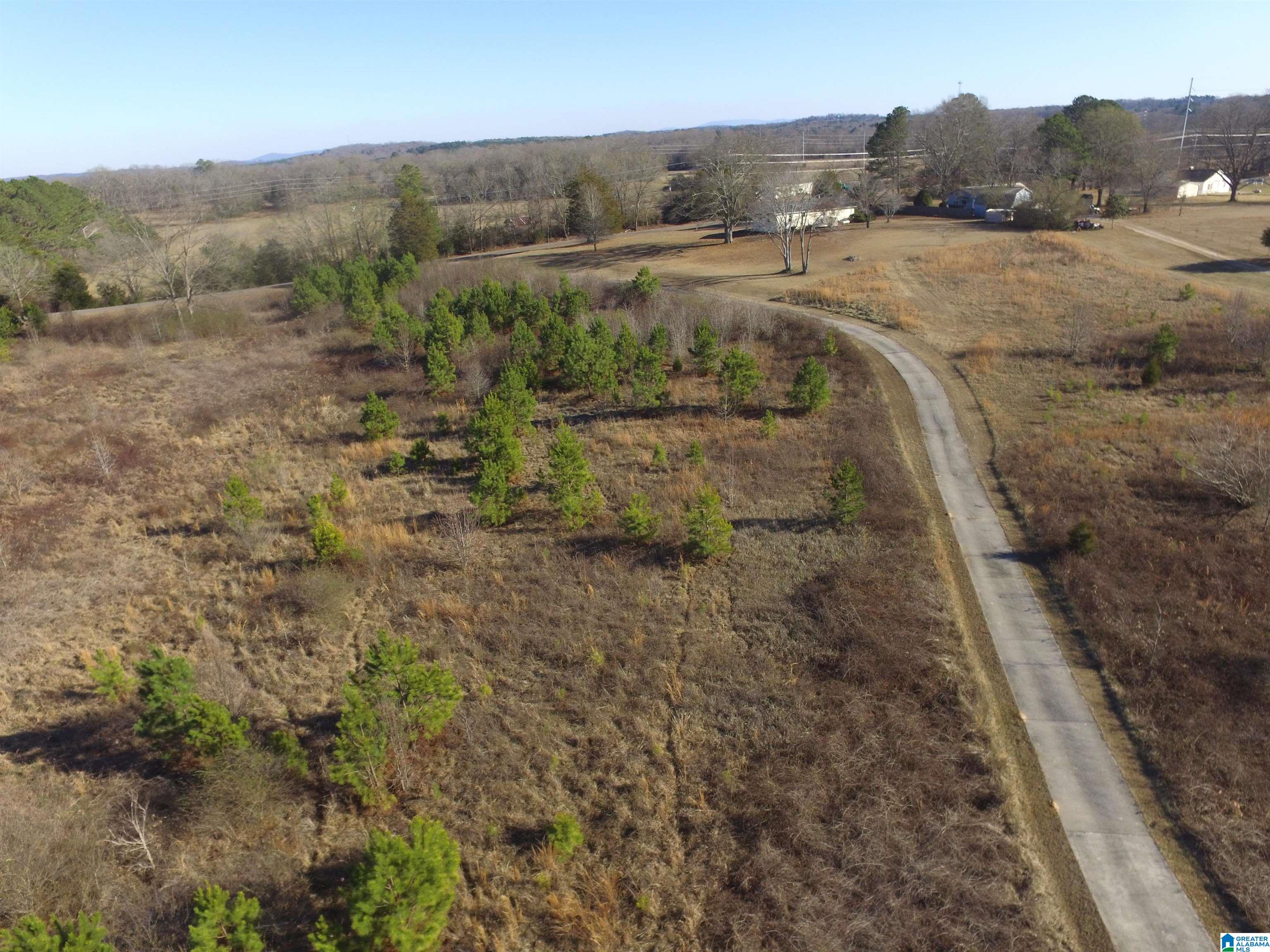 439 Holly Hills Road Lincoln, AL 35096 - Photo 31 of 32 Gallery Image 31