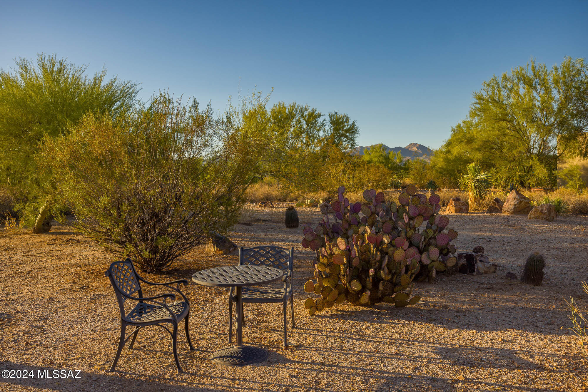 12345 North Reflection Ridge Drive Oro Valley, AZ 85755 - Photo 27 of 48