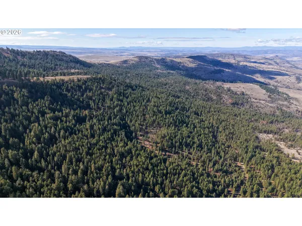 a black and white photo of a house