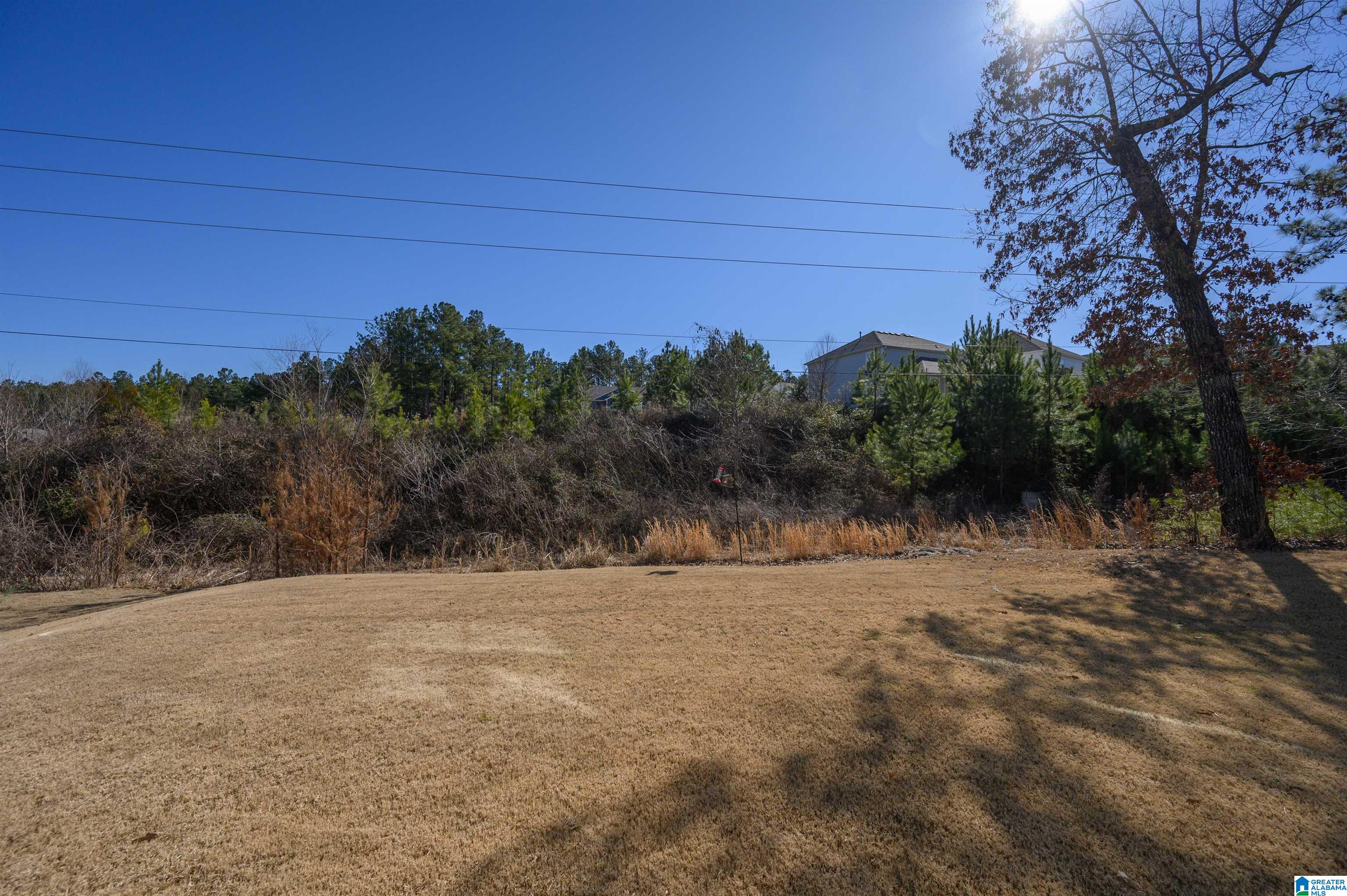 209 Park Crest Run Alabaster, AL 35007 - Photo 54 of 56
