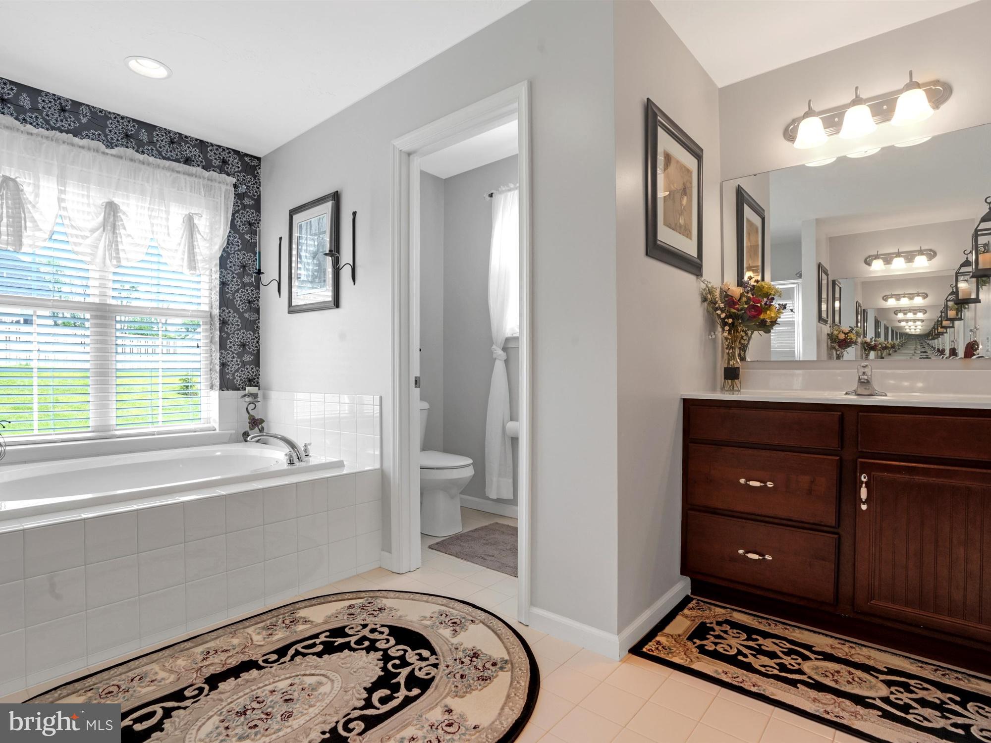 1214 Bair Road Hanover, PA 17331 - Photo 24 of 43 a bathroom with a tub a sink and a large mirror