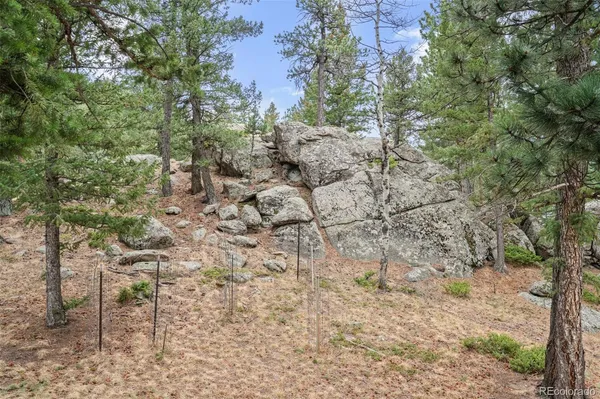 $1,345,000 | 5981 South Bluebell Lane, Evergreen, CO 80439