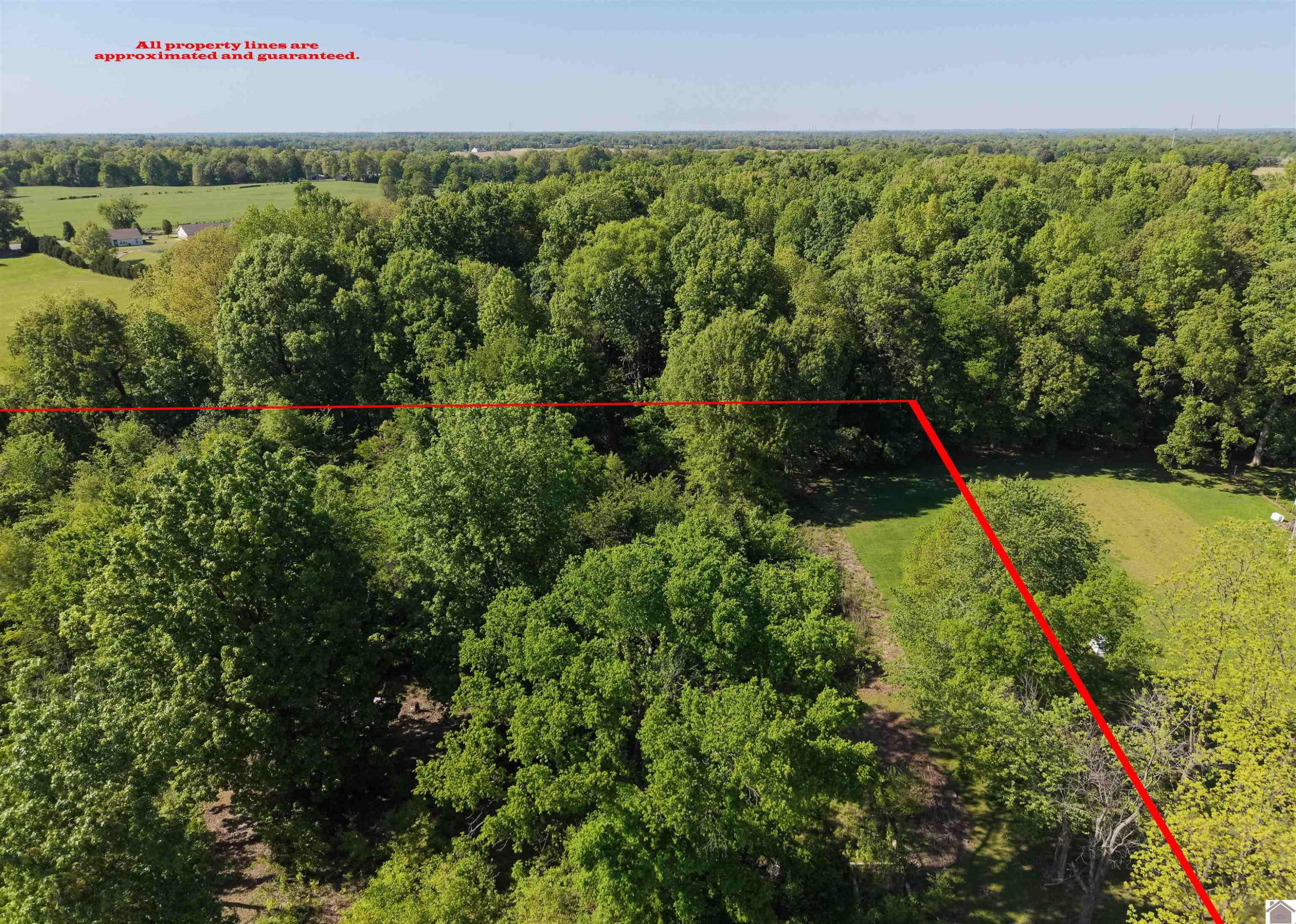 8855 Harris Road West Paducah, KY 42086 - Photo 4 of 13 Photo 4
