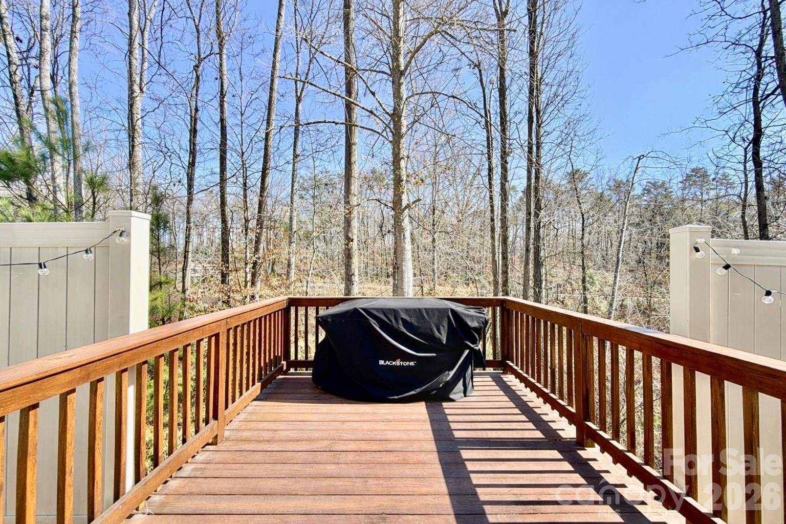 1264 Whitehall Hill Road York, SC 29745 - Photo 16 of 38