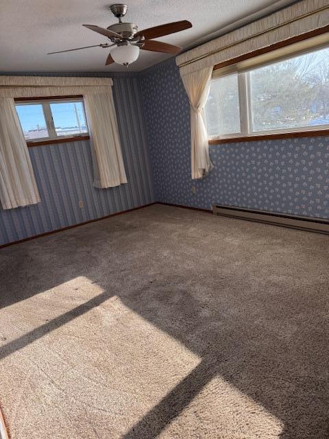 202 Main Street West Battle Lake, MN 56515 - Photo 11 of 12