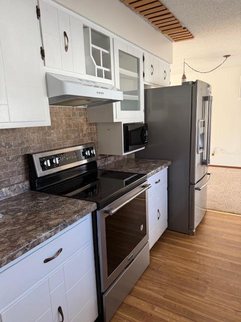 202 Main Street West Battle Lake, MN 56515 - Photo 3 of 12