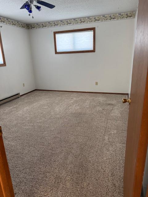 202 Main Street West Battle Lake, MN 56515 - Photo 10 of 12