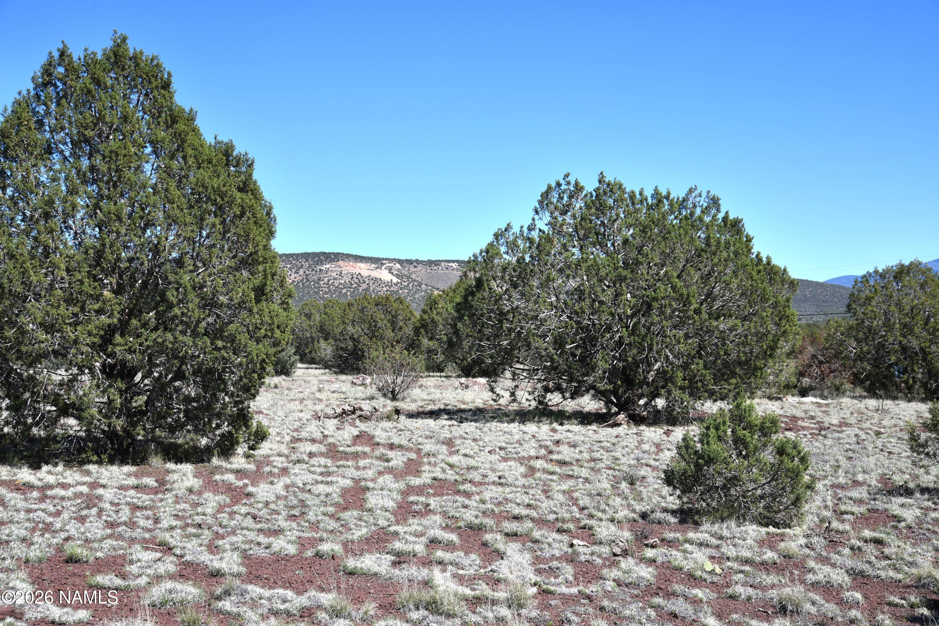 3744 Verde Road Williams, AZ 86046 - Photo 14 of 18 DSC_5053
