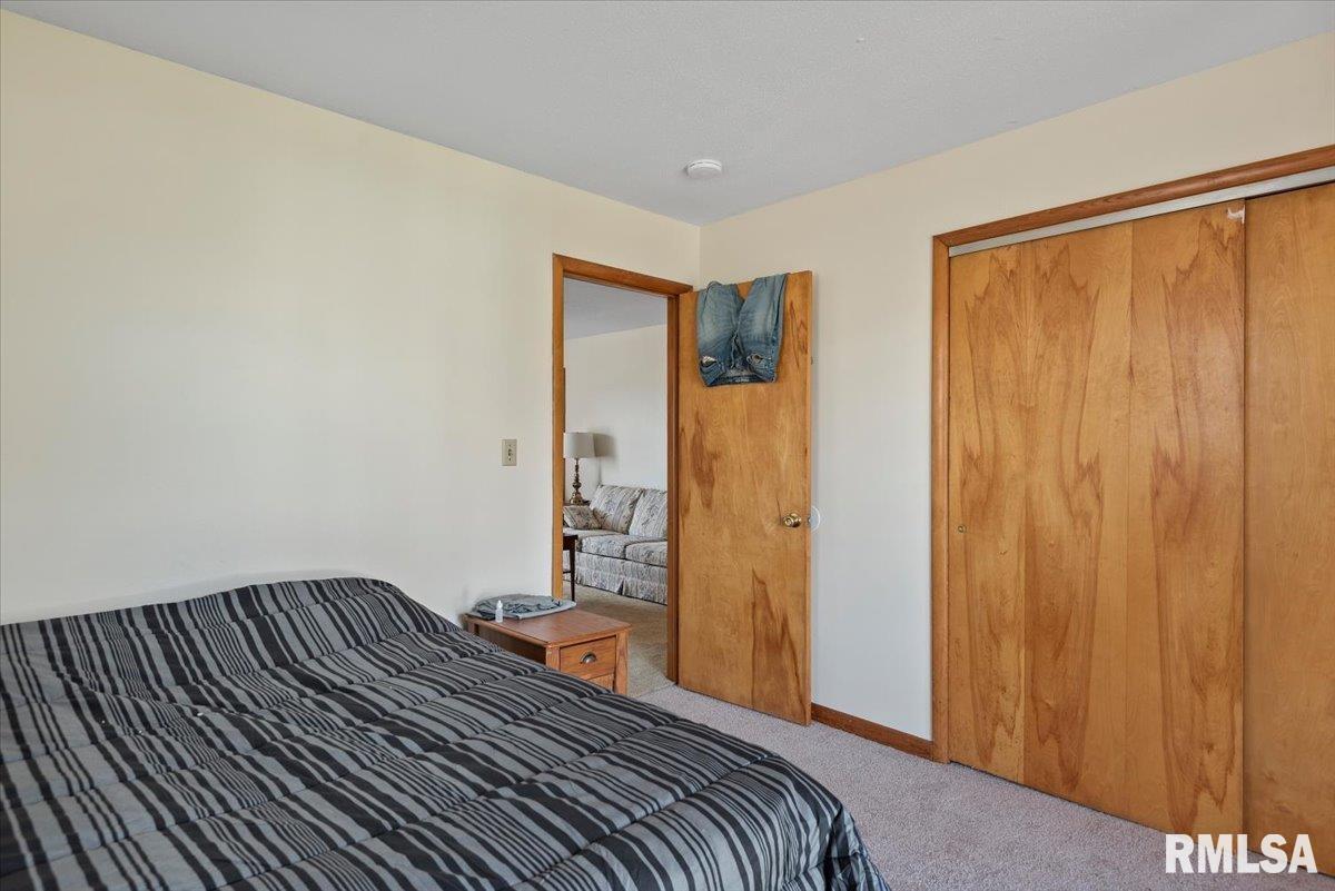 821 South Pasfield Street Springfield, IL 62704 - Photo 7 of 21