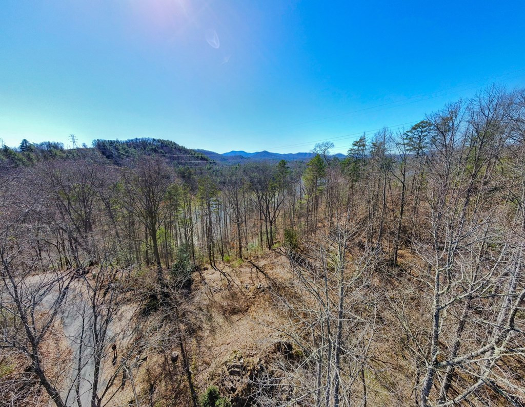 95 Cateye Road Robbinsville, NC 28771 - Photo 2 of 18 Gallery Image 2