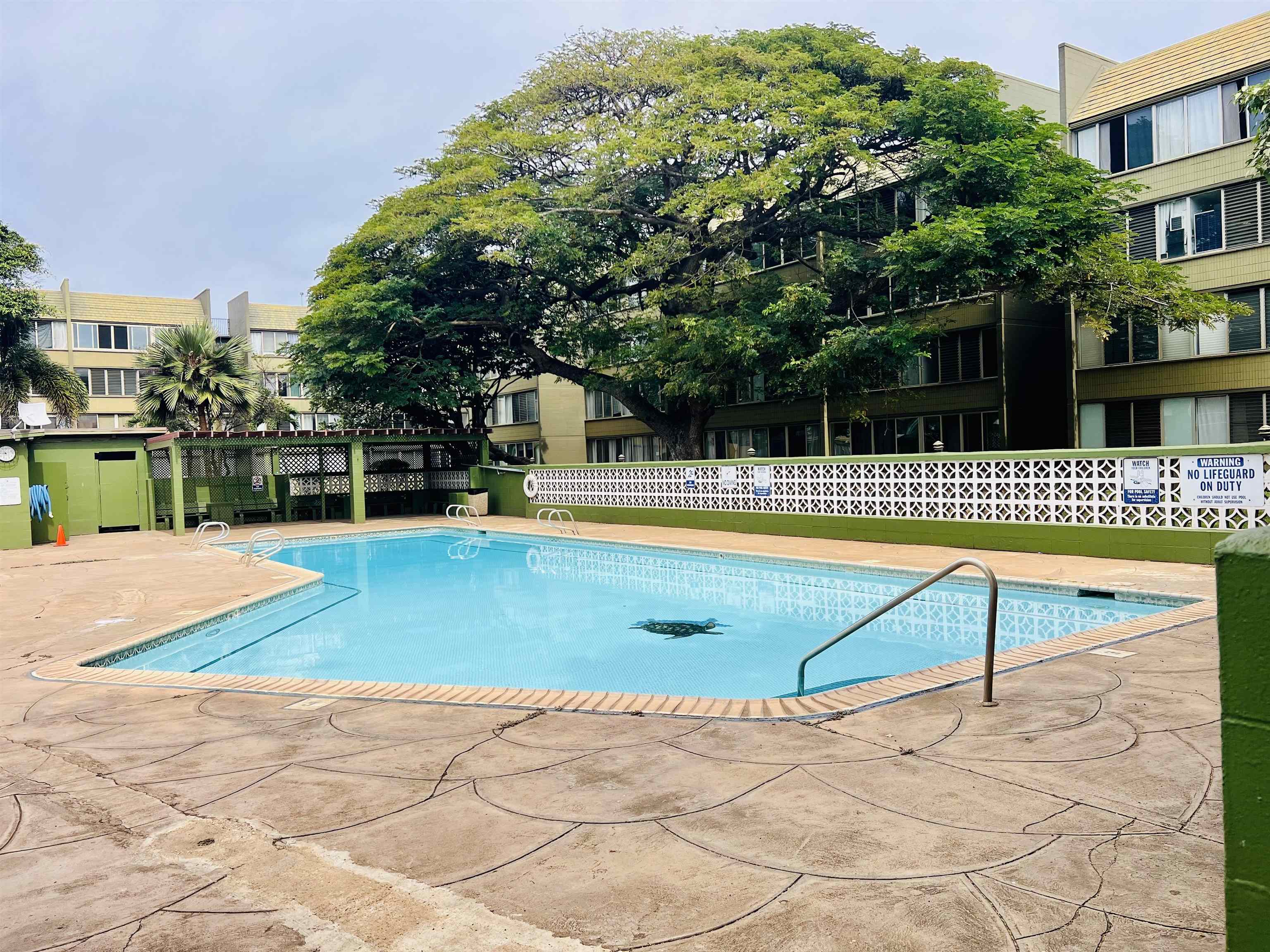 111 Kahului Beach Road, Unit D225 Kahului, HI 96732 - Photo 28 of 31 a view of a swimming pool with an outdoor space and seating area