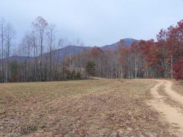1118 Old Lowgap Road Lowgap, NC 27024 - Photo 2 of 6 Other.