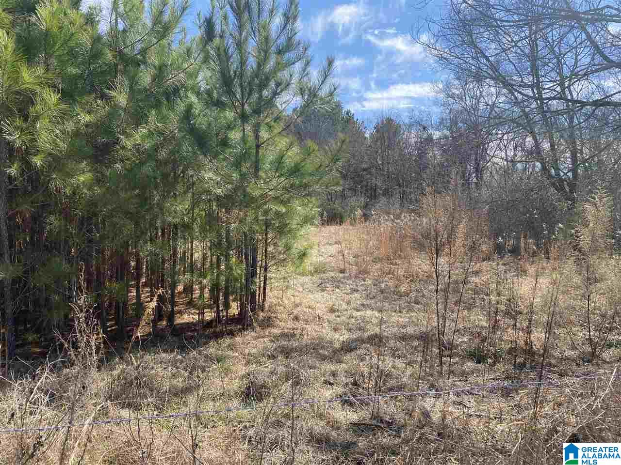 1560 Oren Miller Road, Unit 1 Warrior, AL 35180 - Photo 8 of 19