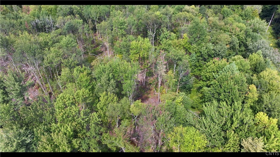 10133 Penfield Road Camden, NY 13316 - Photo 4 of 10 Gallery Image 4