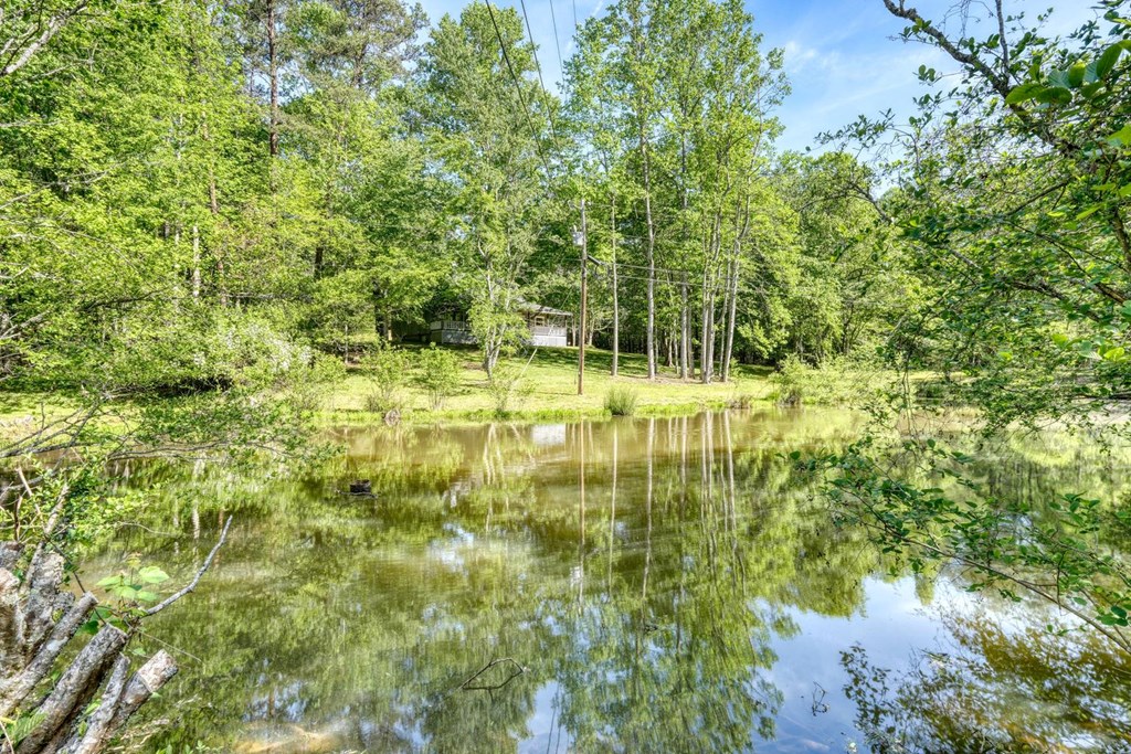 1493 Greasy Creek Road Brasstown, NC 28902 - Photo 5 of 51
