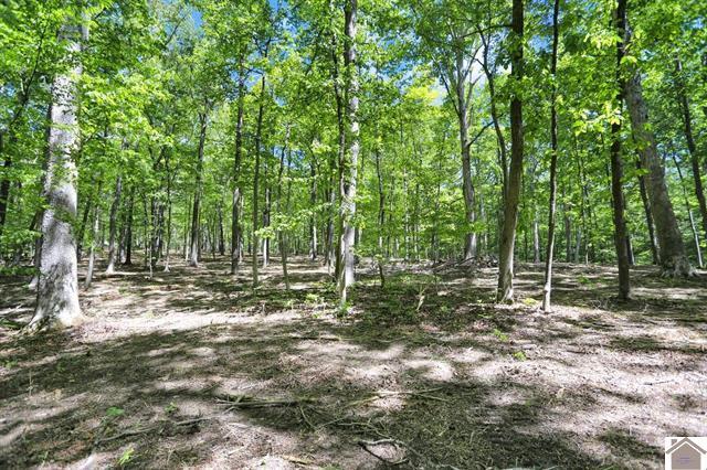 Lot 19-20 Post Oak Road Benton, KY 42025 - Photo 36 of 41 136588-2f44833b-aa69-4286-981c-ff2df519f