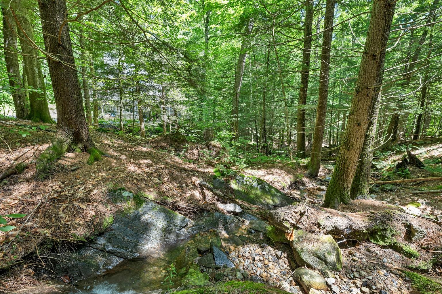 28 Cold Spring Road Thornton, NH 03285 - Photo 43 of 47