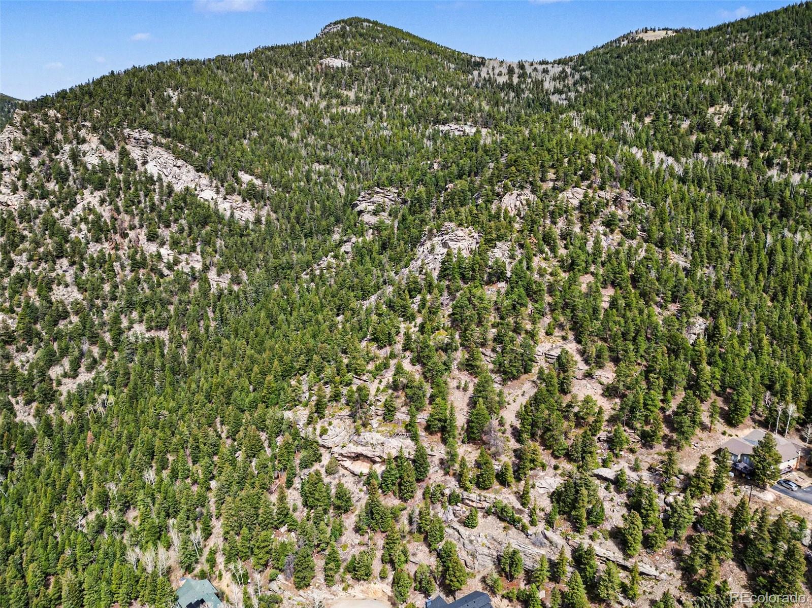 Spruce Court Evergreen, CO 80439 - Photo 9 of 18