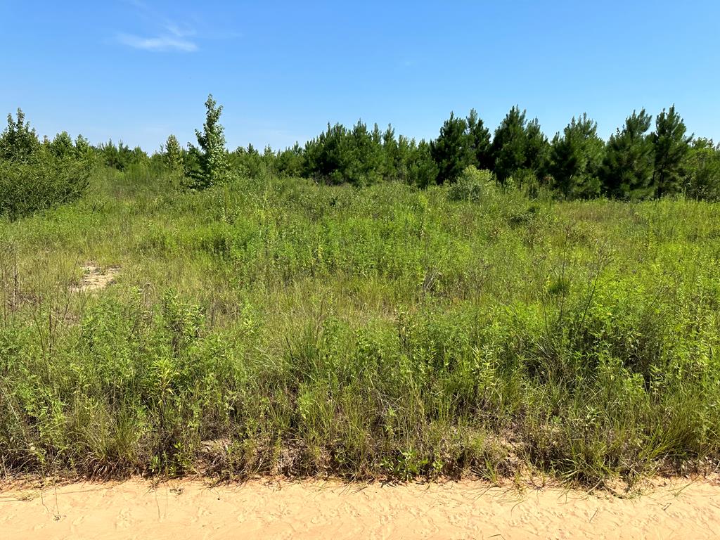 4.6 Old Elba Road Coffee Springs, AL 36318 - Photo 1 of 6