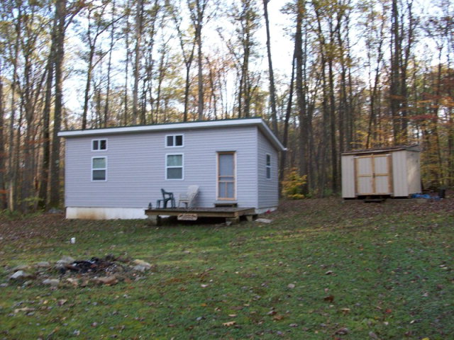Main View