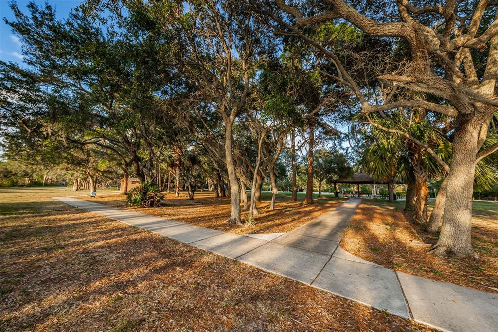 646 Timber Bay Circle West Oldsmar, FL 34677 - Photo 49 of 84