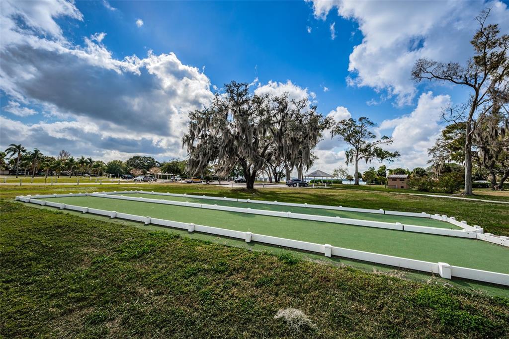 646 Timber Bay Circle West Oldsmar, FL 34677 - Photo 68 of 84