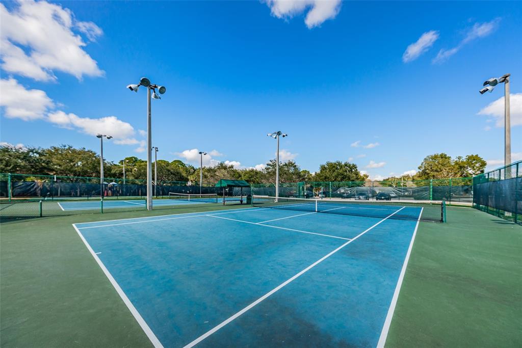 646 Timber Bay Circle West Oldsmar, FL 34677 - Photo 80 of 84