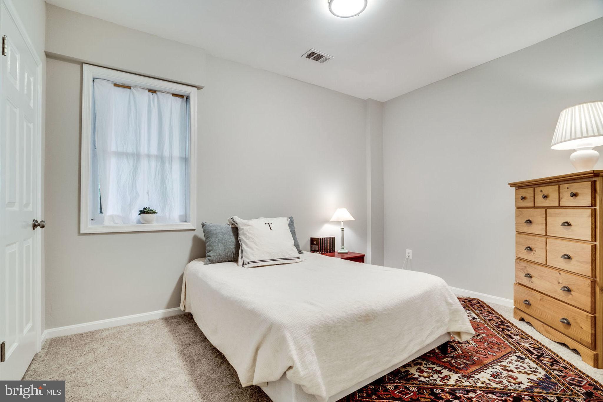 2546 23rd Road North Arlington, VA 22207 - Photo 32 of 43 Lower Level bedroom - (1/3 on lower level)