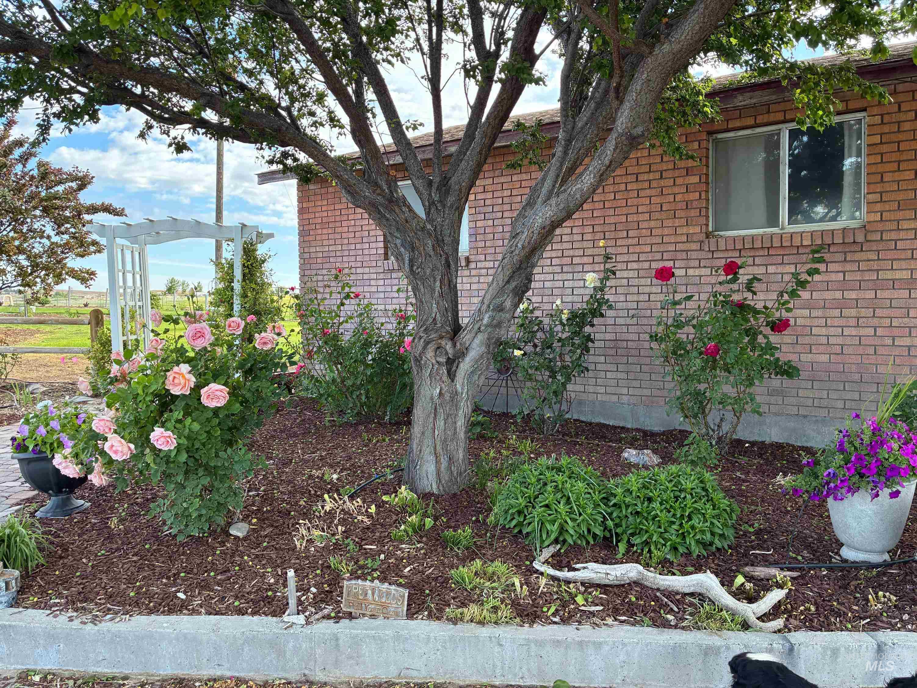 3850 Greenfield Road Vale, OR 97918 - Photo 29 of 30