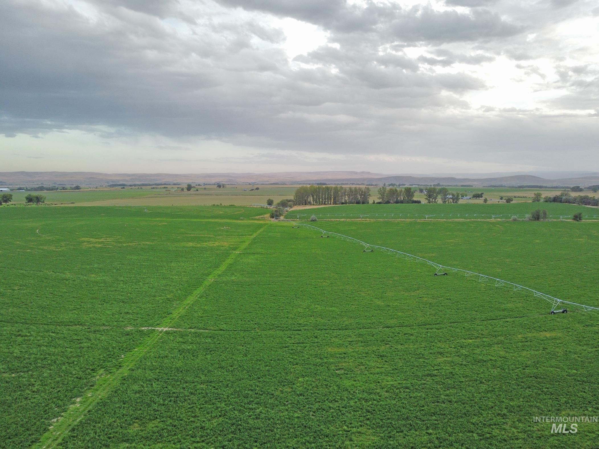 3850 Greenfield Road Vale, OR 97918 - Photo 6 of 30