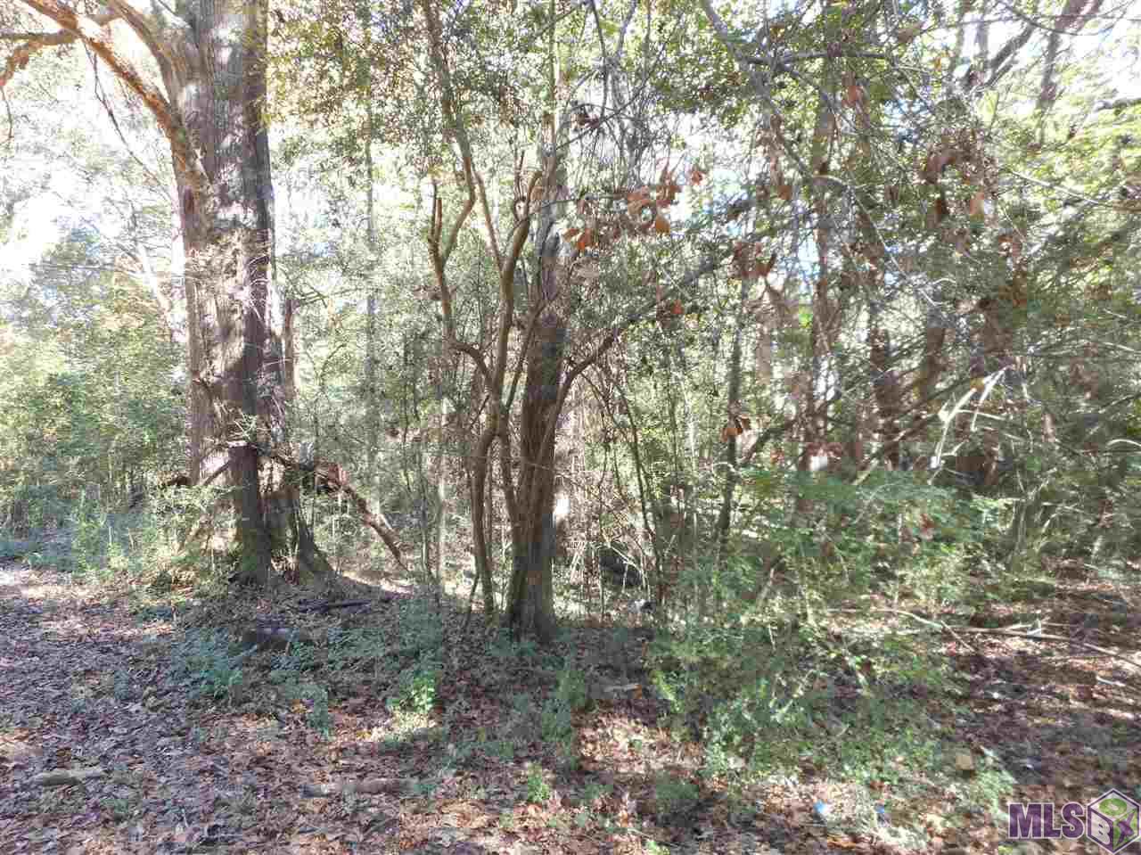 7430 D Lane Road Ethel, LA 70730 - Photo 4 of 5