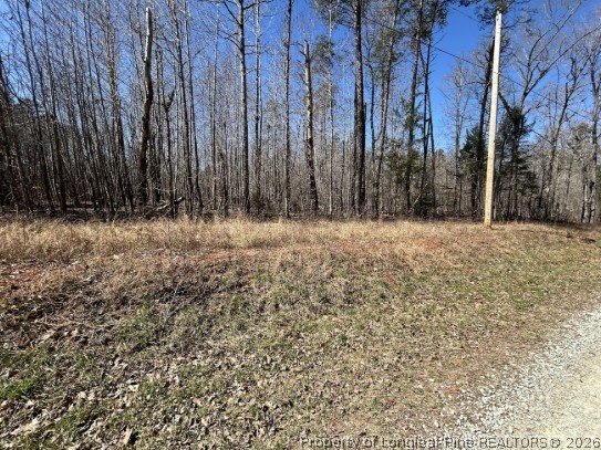 Pointe Mayo Drive Roxboro, NC 27574 - Photo 13 of 24