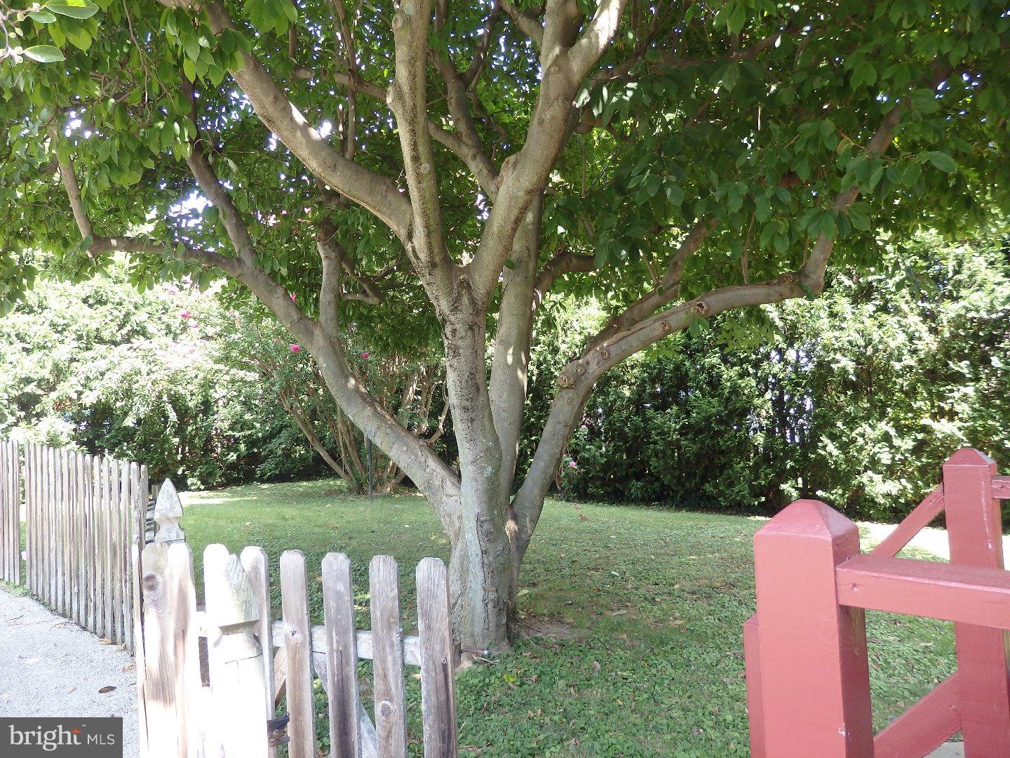 18 Kathmere Road Havertown, PA 19083 - Photo 19 of 25 Back Yard