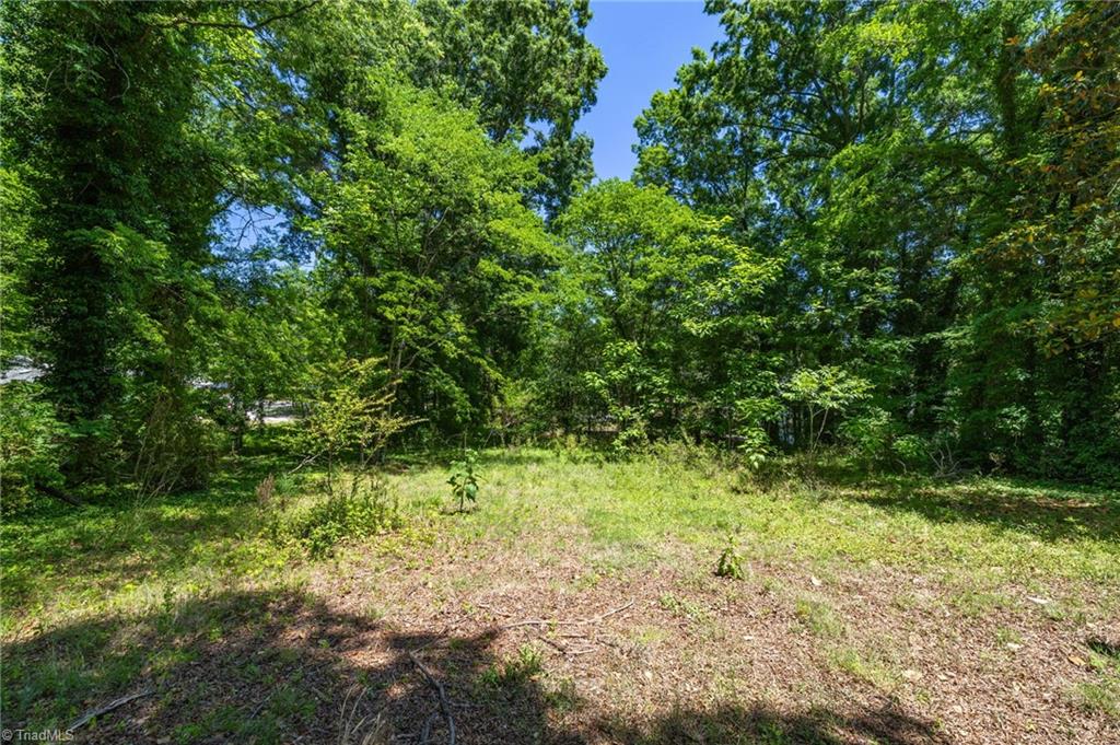 422 Patrick Street Eden, NC 27288 - Photo 32 of 32