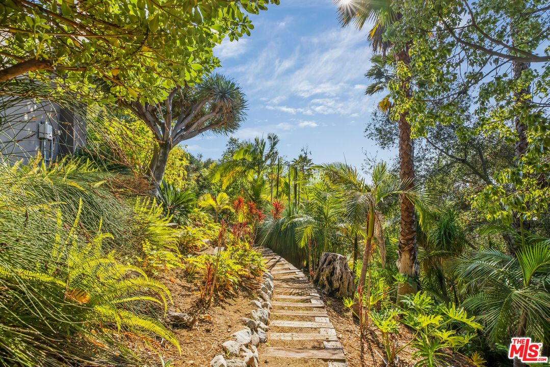 5693 Holly Oak Drive Los Angeles, CA 90068 - Photo 25 of 26 a picture of a tree