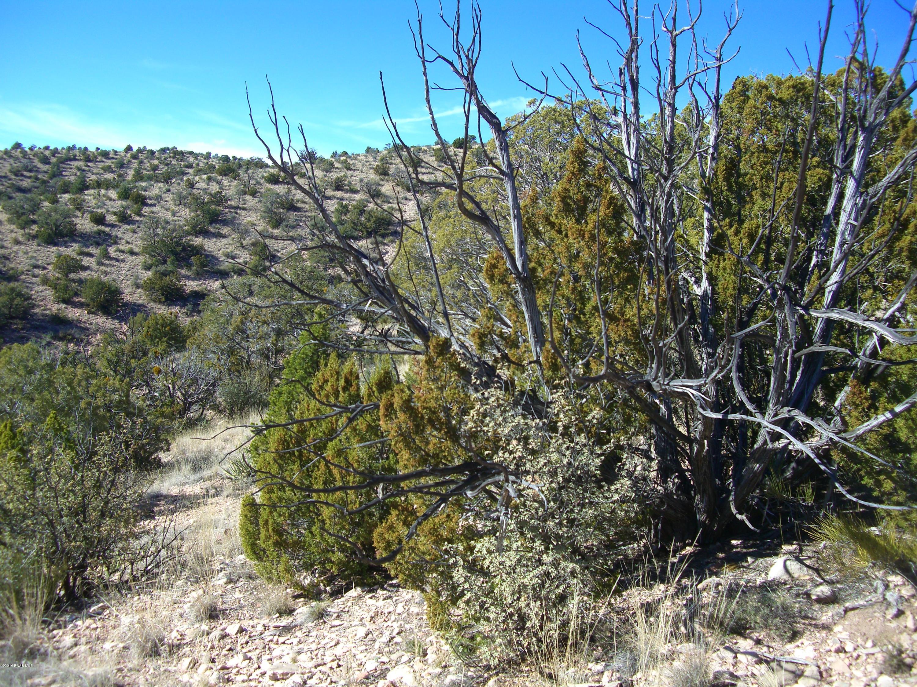 68 Howling Wolf Road Ash Fork, AZ 86320 - Photo 1 of 1 PIC