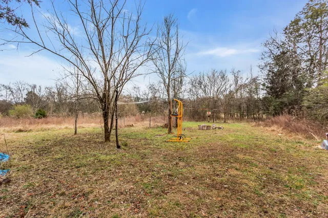 a view of yard with trees