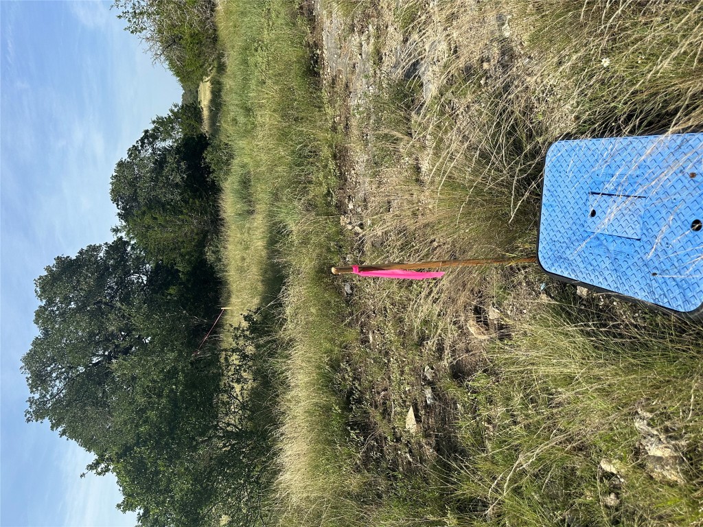 110 West Alex Jordan Blanco, TX 78606 - Photo 13 of 22