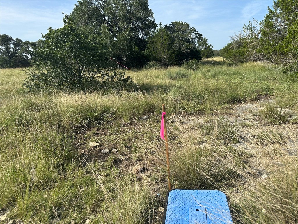 110 West Alex Jordan Blanco, TX 78606 - Photo 14 of 22