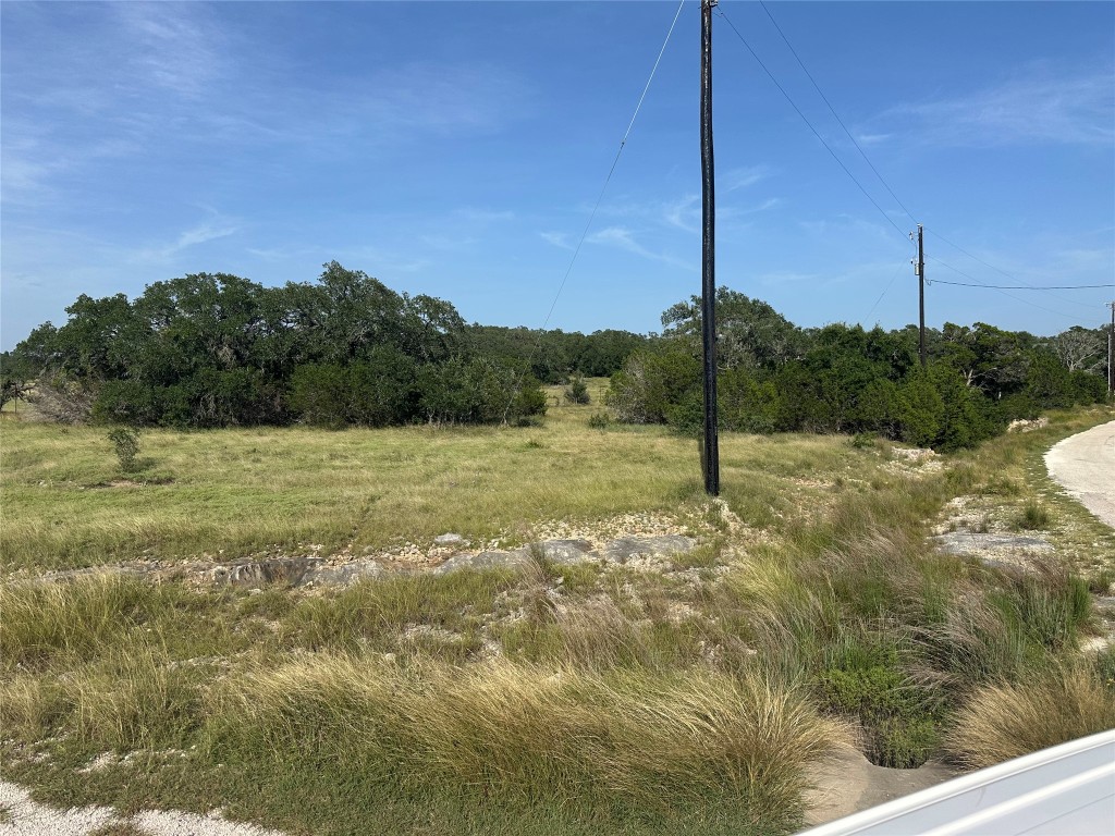 110 West Alex Jordan Blanco, TX 78606 - Photo 7 of 22