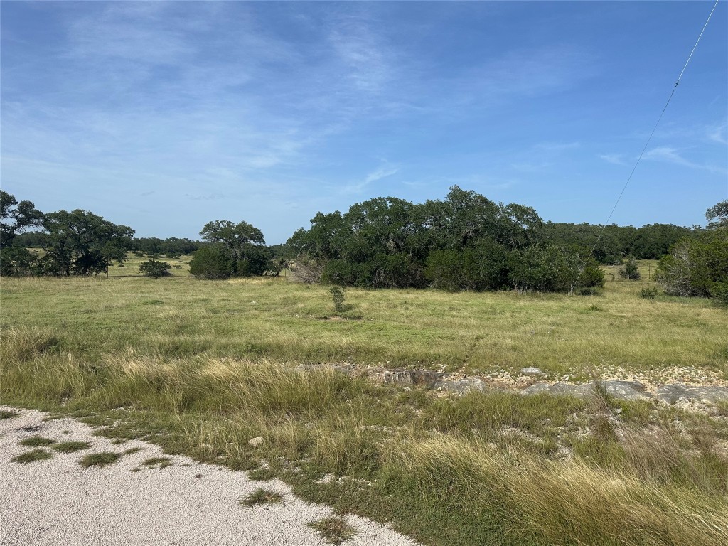 110 West Alex Jordan Blanco, TX 78606 - Photo 8 of 22